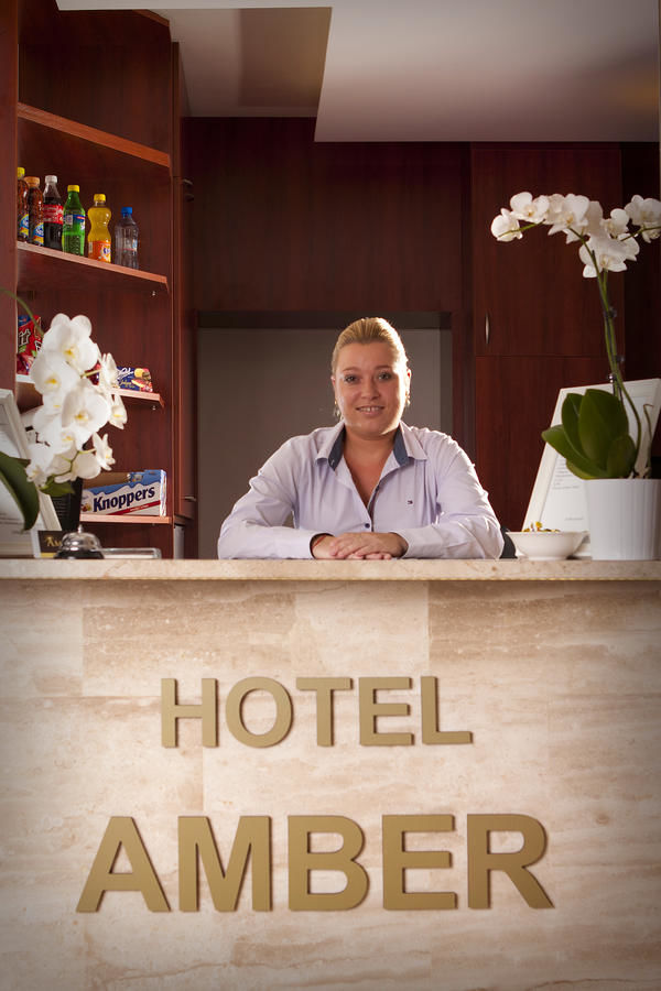 Отели типа «постель и завтрак» Hotelik Amber Рашин-4