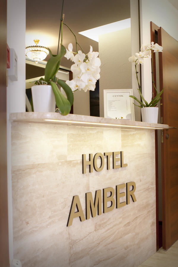 Отели типа «постель и завтрак» Hotelik Amber Рашин-22
