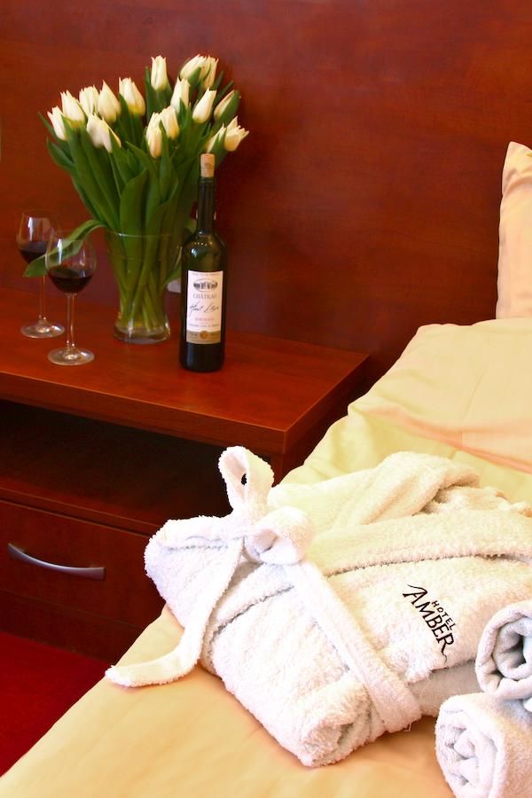 Отели типа «постель и завтрак» Hotelik Amber Рашин-29