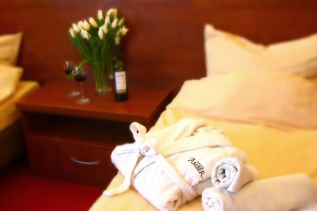 Отели типа «постель и завтрак» Hotelik Amber Рашин
